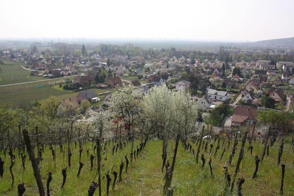L'Auberge Du Brand Turckheim Buitenkant foto